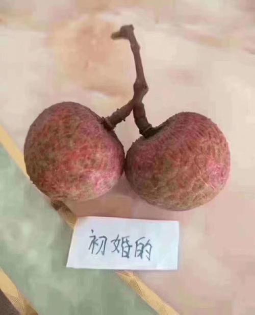 2025新澳门天天开好彩.和拍800斤贵妃同款荔枝与贵妃荔枝拍卖多少钱一颗