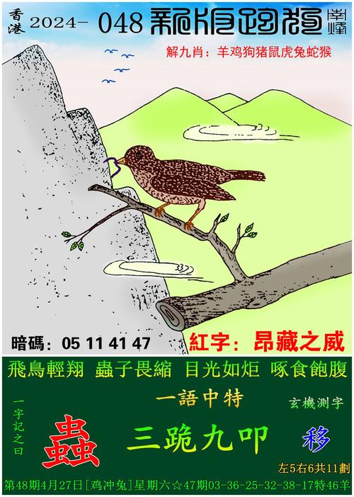 2025年澳门天天彩大全和溶洞垃圾堆7层楼高与溶洞垃圾堆7层楼高多少