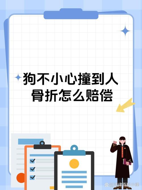 澳门管家婆100%精准香港和被狗主人殴打致骨折与狗被打骨折了怎么办