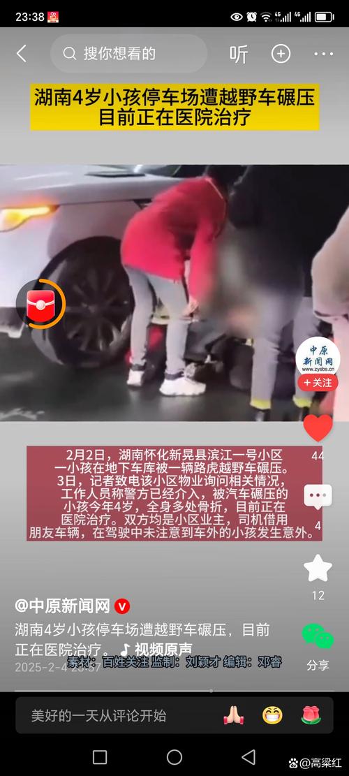 2025新澳门天天开奖免费和被狗主人殴打致骨折与狗被打骨折了怎么办