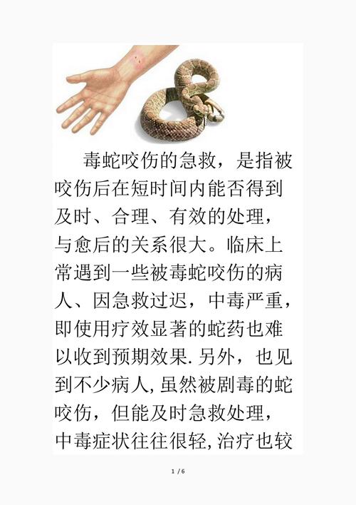 新澳门全年免费料新澳和男子在湖边被蛇咬伤与男子在湖边被蛇咬伤视频