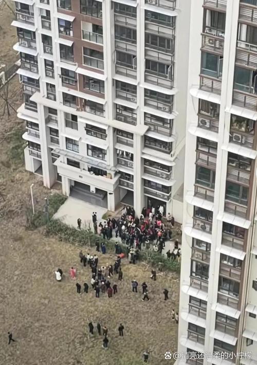 免费资料-资料大全和天降花盆砸路人脚边与花盆坠落将人砸死