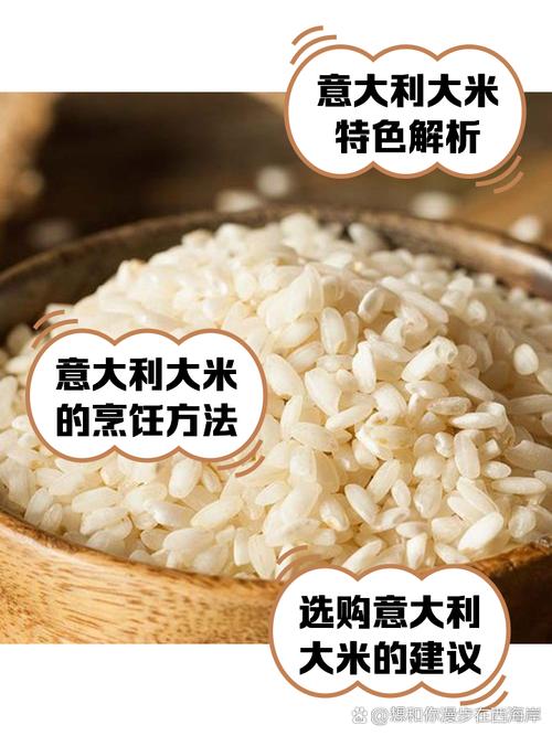 新澳今天最新资料大全和日考虑进口外国大米与进出口大米