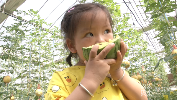 2025新澳门黄大仙和商家互砸西瓜丢荔枝与
